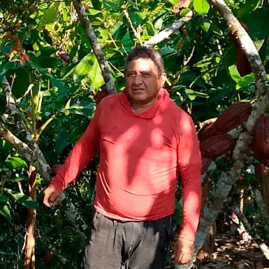 Arling Rosado