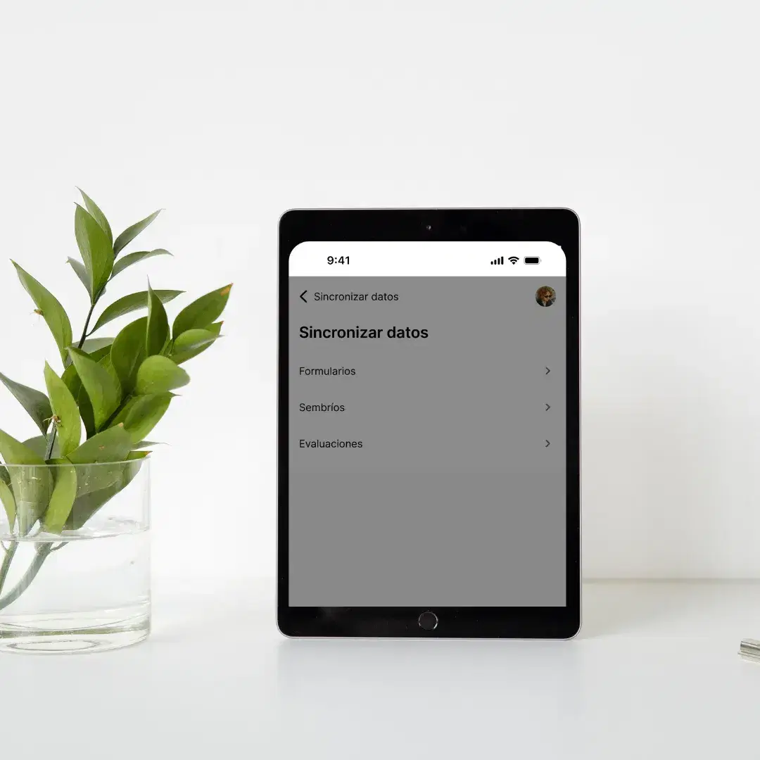 Monitoreo 4