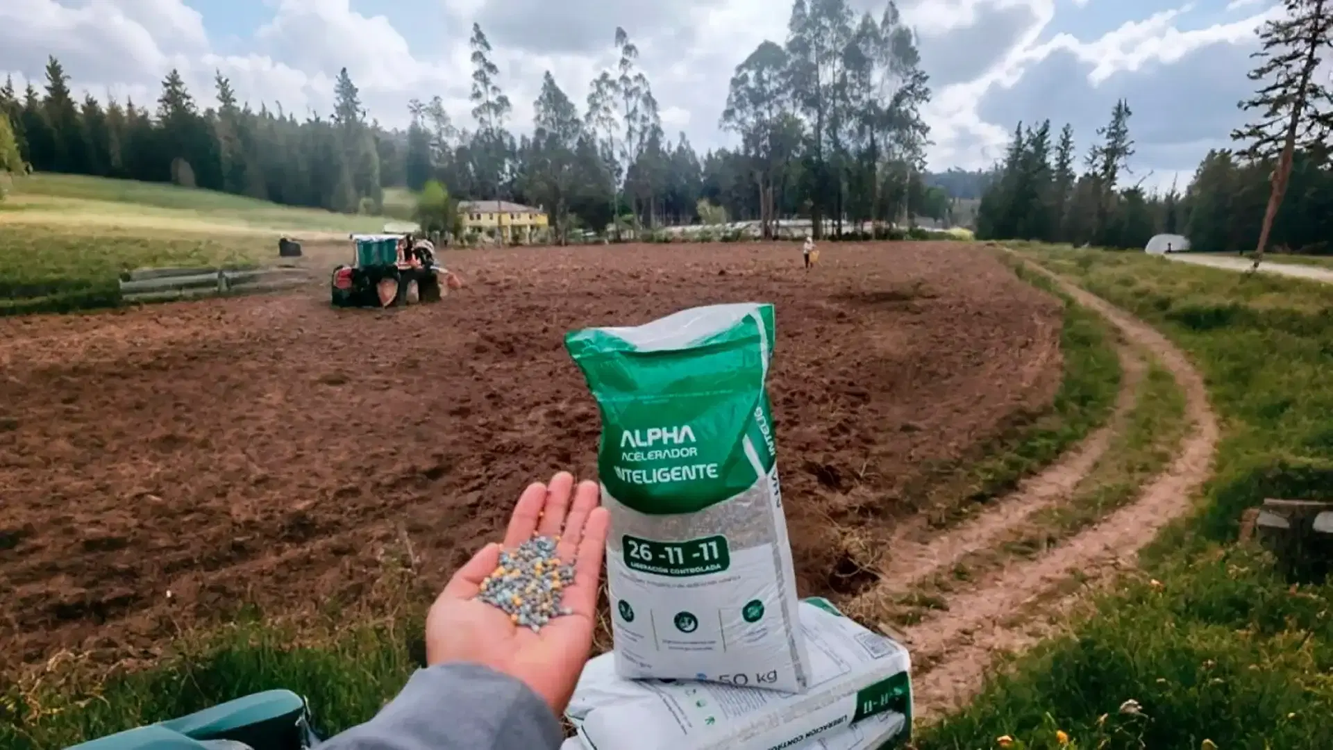 Alpha Acelerador Inteligente