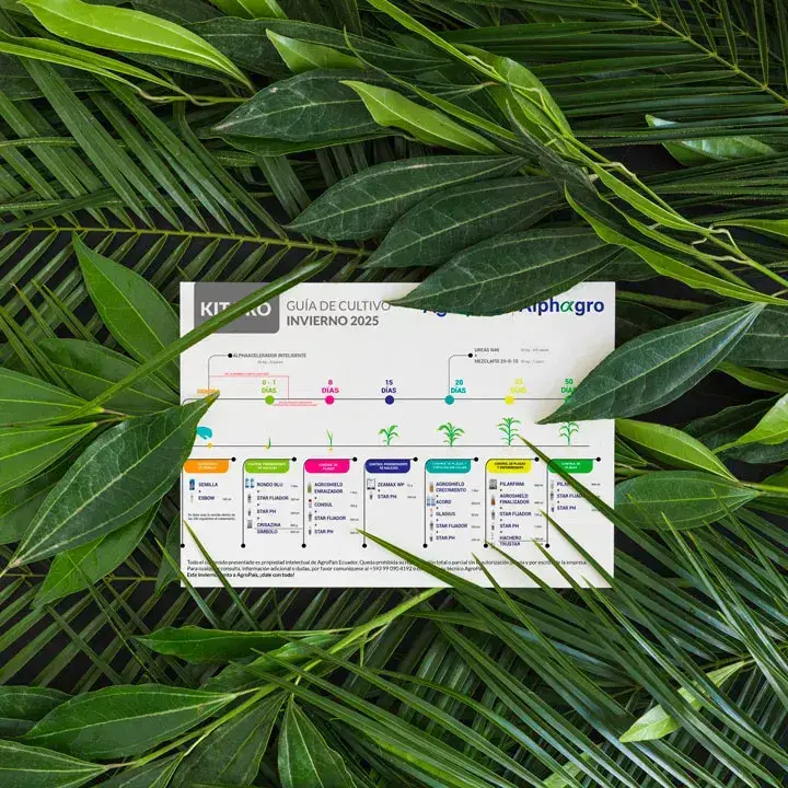 Guías de cultivo